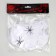 Halloween carnival set, web, batter batter