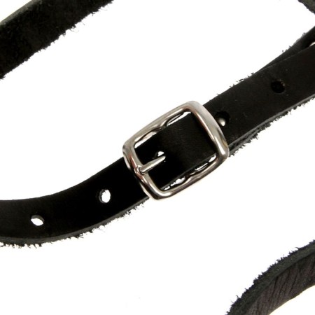 The muzzle is fir -white, length on the nose 6.5 cm, ohm 35 cm, rottweiler, black-2