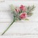 Decor "Winter Charm" Berries Star of Horses Horses, 15 cm