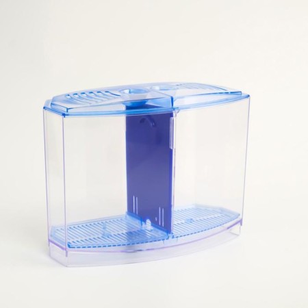 Two -sectional aquarium, with soil and 2 plants-11