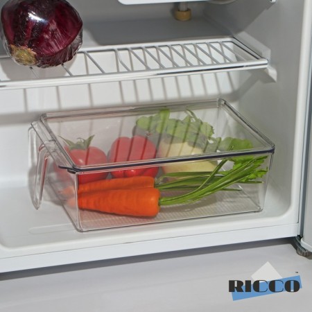 A container for a refrigerator with a lid and a handle Ricco, 32 × 20.5 × 10 cm