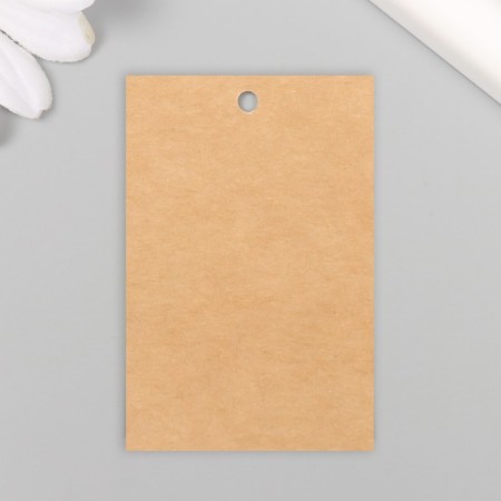 Tag without print Craft two -way 4x6 cm-3