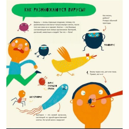 The secret life of viruses. Elyas Edukan, group-2