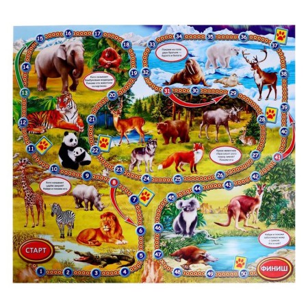Brodiller "imagine", 24 cards-4