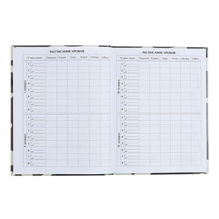 Universal diary for grades 1-11, "plane", solid cover 7BC, glossy lamination, 40 sheets-6