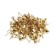 Tundra nails, decorative, 8x15 mm, gold, 50 pcs