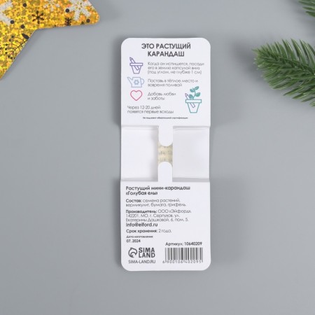 Growing gift pencils Mini "Blue spruce"-2