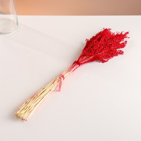 Set of dried flowers "millet", banch length 45 (+/- 6 cm), red-3