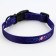 Collar Cosmo Dog, fastener - fastx, 2 cm 25-40 cm