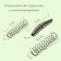A set of spare springs to the secateurs, universal