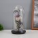Halloween lamp “Skull with spiders” 1.5W, LED, 3XAAA, Black USB 11x11x21cm