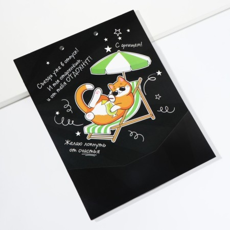 Envenue for money, a birthday card "Congratulatory", with a cat, 6 sheets, 16.3 x 21.3 cm-8