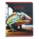 A notebook “Photosphere”, 48 sheets in a cage, “Biology”, cover coated cardboard, VD-clock
