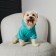 CHAMPION Holstery for dogs (footer), size M (DS 26, Osh 36-38, OG 46-50), Blue