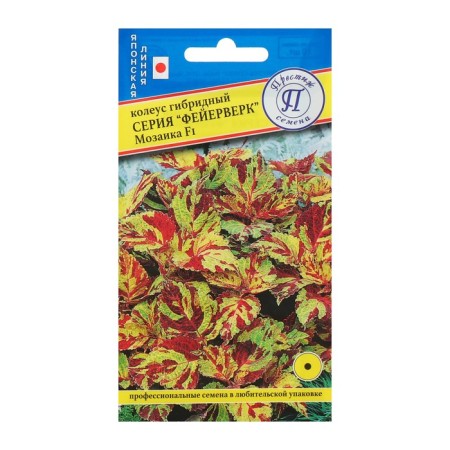 Flower Flows Koleus "Fireworks" mosaic f1, o, 10 pcs-4