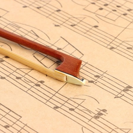 Music Life 1/2 High Quality, 62 cm violin-2