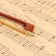 Music Life 1/2 High Quality, 62 cm violin