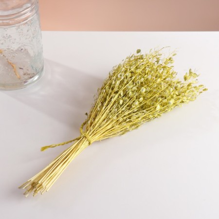 Set of dried flowers "Monetnik", banch length 60 (+/- 6 cm), green-3