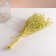 Set of dried flowers "Monetnik", banch length 60 (+/- 6 cm), green