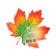 Decoration on the adhesive tape "Maple leaf" Green, orange, 18x18 cm