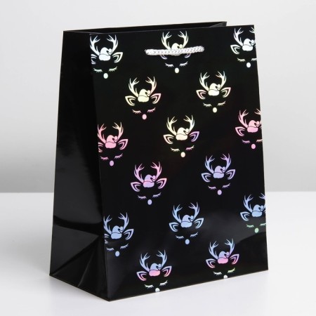 Packet Holography Vertical "New Year", MS 23 x 18 x 10 cm, New Year-1