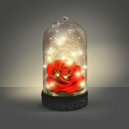 Set for creativity "Nochik with your own hands. Eternal rose "-4
