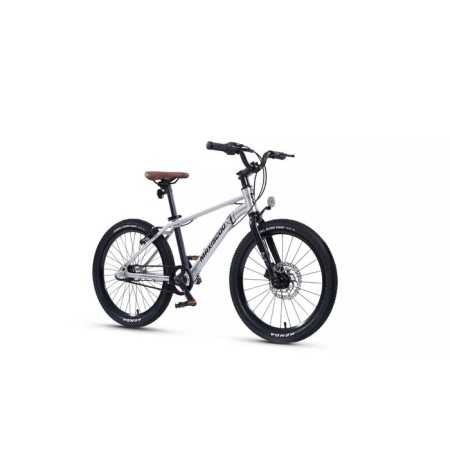 Bicycle 20 ’’ maxiscoo 7bike M700, silver color-1