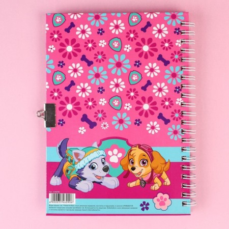 Gift set: Notebook "Sky and Everest" on the lock and pen, PAW PATROL-8