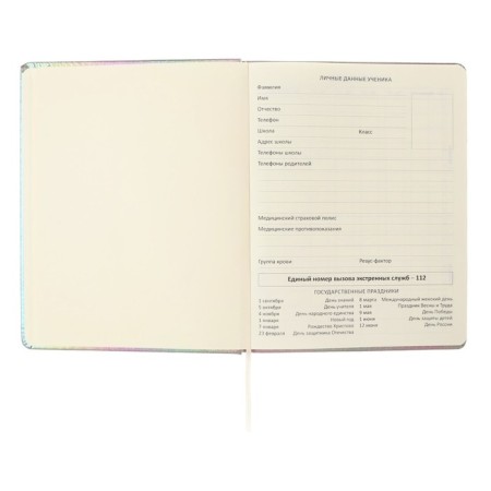 Universal diary for grade 1-11 "Take me such", solid cover, artificial leather, foam rubber, silkography, liesse, 80 g/m2-3