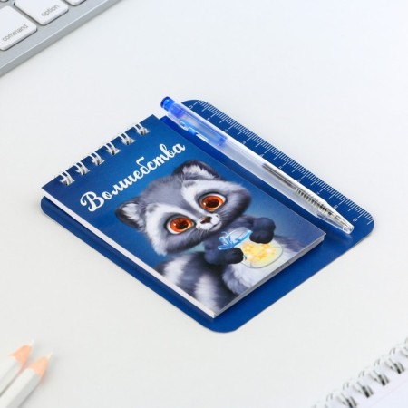 Gift set by notebook and mini-hand "Raccoon"-1