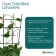 Shpalera, 48 × 29 × 0.2 cm, plastic, green, Greengo