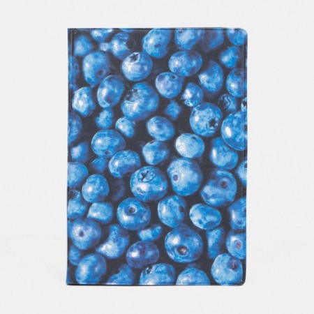 Cover for passport, blue color-1
