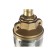 Board Patriot CP 5360 C, 750 W, 72 l/min, pressure 50 m, cable 18 m