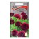 Cosmea flowers "Terry button", burgundy, 0.1 gr