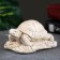 Figure "Turtle on Stone" ivory, 8x7x6cm