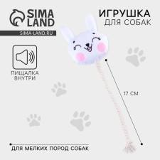 A toy for dogs 