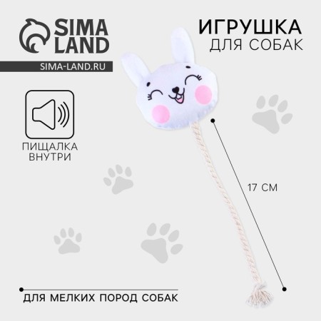 A toy for dogs "Bunny", with a rope