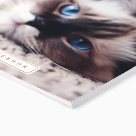 School diary 1-11 grade, in a soft cover, 40 l "September 1: Cat"-1