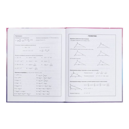 School diary for grades 1-11, 48 sheets "Alice", hard cover, selective pearl varnish, foil embossing, matte lamination, universal cheat sheet, block 65g/m2-9