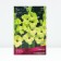 Gladiolus coarse-flowered "Solfarino", rr 12/14, 5 pcs, spring 2024
