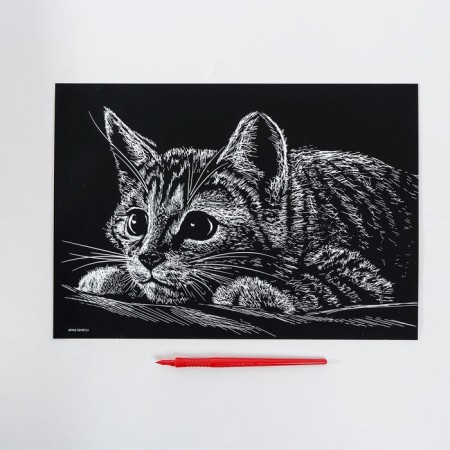 Engraving "kitten" with a metallic effect "silver" A4-3