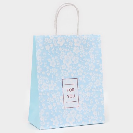 CRAFT package, blue, "thank you" 27 x 21 x 11 cm-1