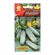 Seeds of cucumber 