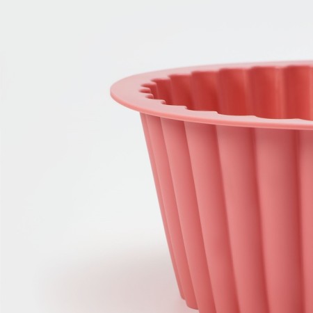 Baking uniform “Circle Circle”, silicone, D = 18.5 cm, Mix color-4
