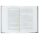 The murder of the commander. Book 1. The emergence of a plan. Murakami Kh.