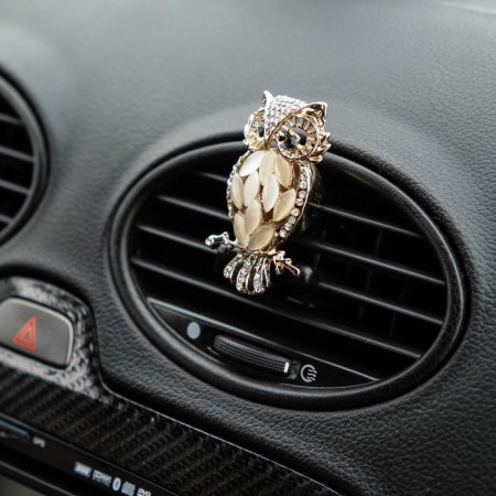 Decoration in a car deflector, owl