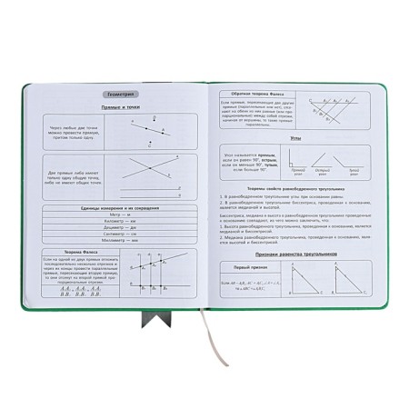 Universal diary for grades 1-11 Lenta, solid cover of artificial leather, applique, silkography, liesse, 48 sheets, green-8
