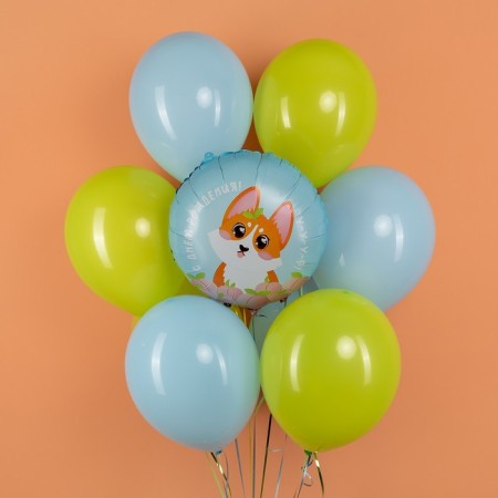 Foil ball 18 "Circle" Happy Birthday! (Corgi) "In ind.-2