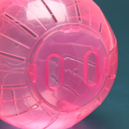 Ball for rodents "Pigger", 12 cm, pink-3