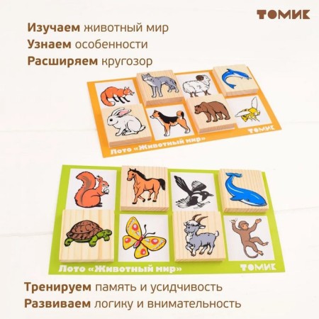 Lotto "Animal World" 6 cards-4